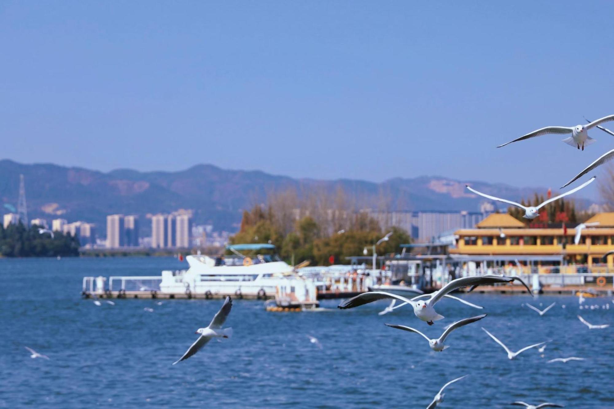 Intercontinental By Ihg 酒店 5*