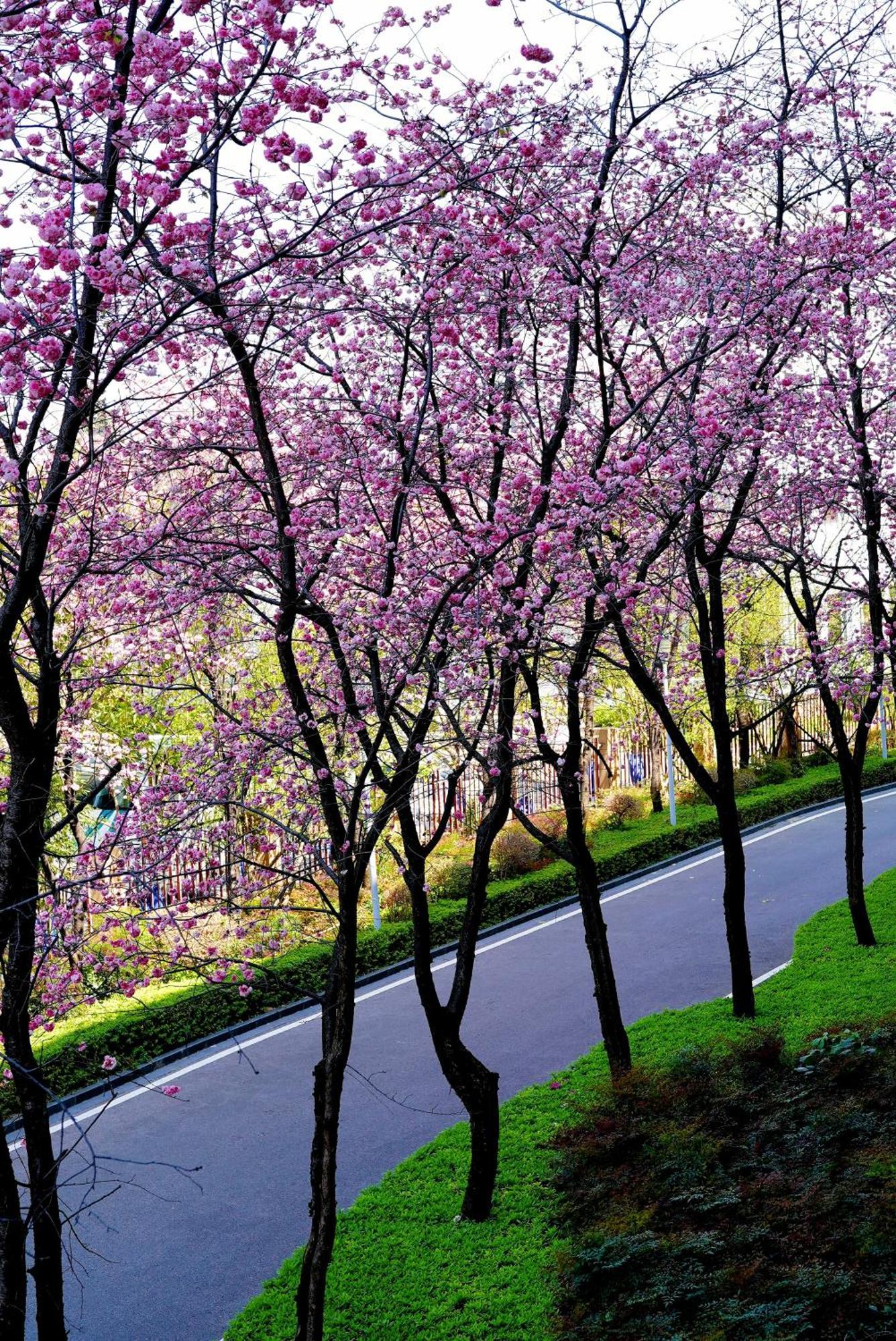 Intercontinental By Ihg 5* Kunming